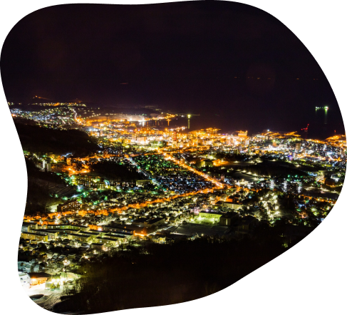 Night View from Mt.Tengu